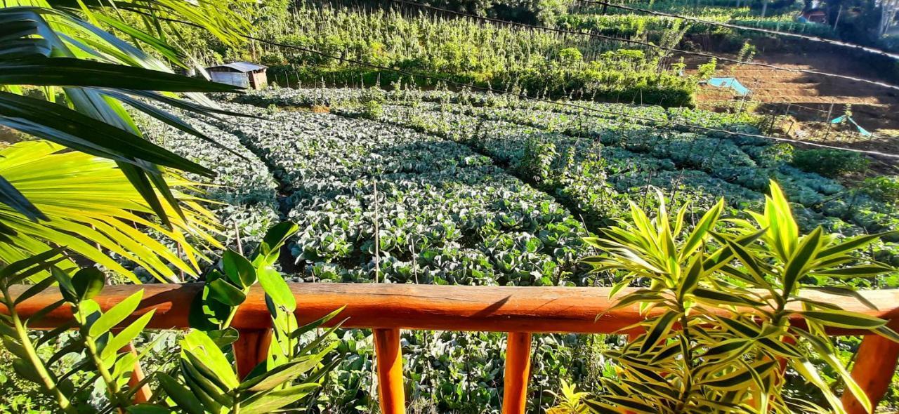 Serenity Homestay Ella Extérieur photo